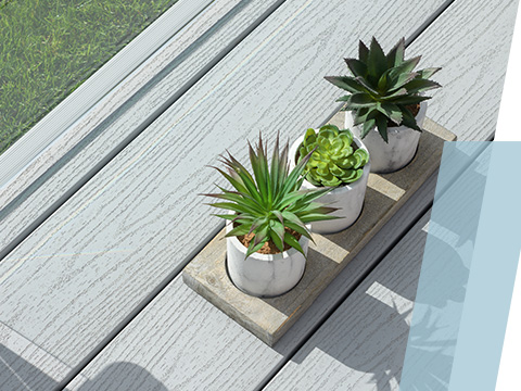 Three plants on a UPVC deck